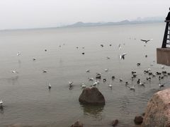 -深圳湾公园(南山区)