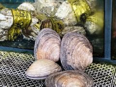 -南湾海鲜餐厅(南澳海鲜街店)