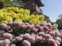 -开封府
