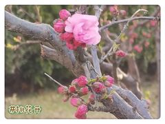 -朝阳公园