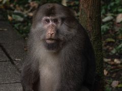 -西岭雪山大飞水景区