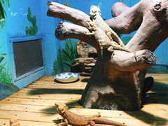 -石家庄市动物园