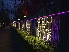 -枫花园汽车电影院(朝阳公园店)