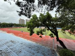 -紫马岭公园