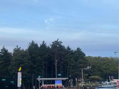 -帽儿山国家森林公园