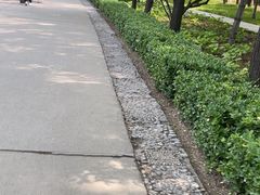 -森林公园(尖草坪区)