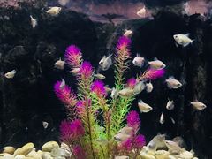 -苏州海洋馆