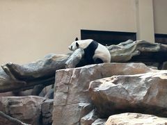 -宁波野生动物园