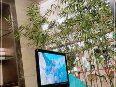 -郑州银基黄帝宫御温泉