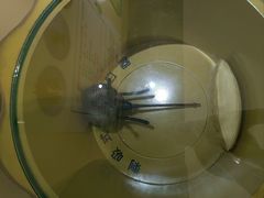 -上海昆虫博物馆