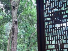 -都江堰普照寺