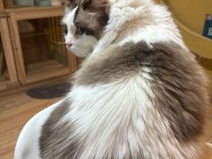 -白兔子密室(长寿路店)