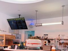 -Catch Bagel(芳草地店)