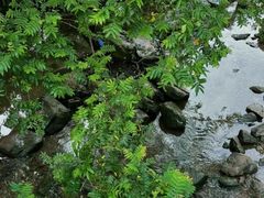 -重庆彩云湖湿地公园