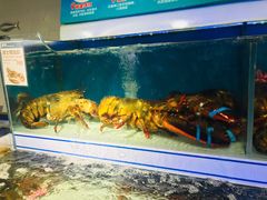 波士顿龙虾-盒马鲜生(岭南新世界店)