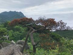 -含鄱口