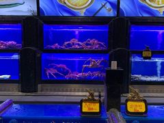 -万宝海鲜舫(劳动公园店)