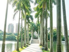 -南宁南湖公园