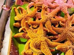 海星-乔哥铭洋海鲜自助(皇城恒隆广场店)