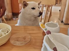 -柴の食堂·日式家庭料理·熊之肆(大学路店)