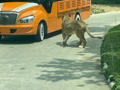 -北京野生动物园