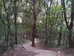 -上海佘山国家森林公园天马山园