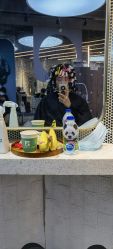 -PE SALON 