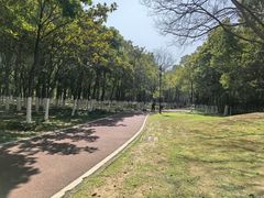 -艾溪湖湿地公园