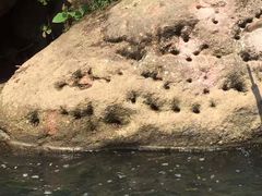 -九曲溪竹筏码头