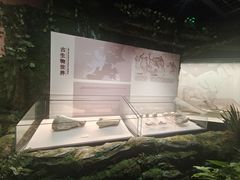 -淮安市博物馆