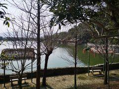 -溪霞怪石岭生态公园