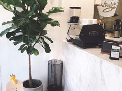 -red donkey coffee