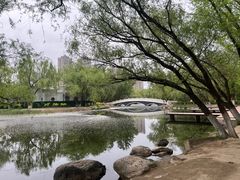 -青城公园