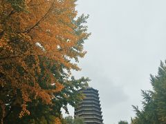 -玲珑塔公园