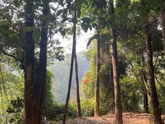 -火炉山森林公园
