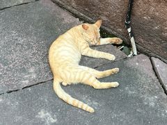 -鸣鹤古镇