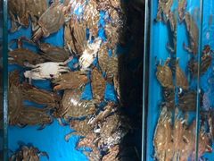 -加尔森烤肉海鲜·火锅烧烤自助