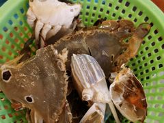 -渔家火锅·海鲜自助餐·演艺(亚龙湾天域酒店)
