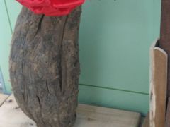 -北京中医药大学-中医药博物馆