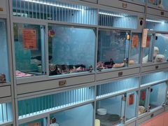 -FAELING PETS美天灵宠物(合生汇店)