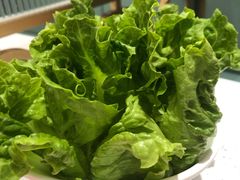 生菜-若爱猪肚鸡·啫啫煲(循礼门M+店)