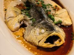 -维园悦谱·海派家常菜(乌鲁木齐南路店)