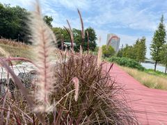 -怡海公园(桂城街道)