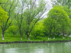 -西溪国家湿地公园