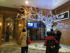 -新白鹿餐厅(城西银泰城店)