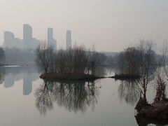 -灞河西岸滨河公园