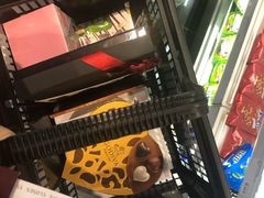 -巴塞罗那约瑟·塔拉德利亚斯-埃尔·普拉特机场
