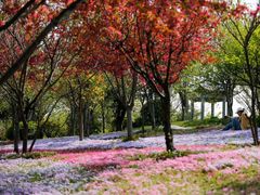 -南通洲际绿博园