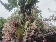 -深圳国际园林花卉博览园