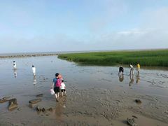 -南汇嘴观海公园